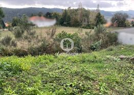 Terreno R�stico - Muro, Trofa, Porto - Miniatura: 5/8
