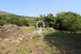 Quinta T3 - Ati�es, Vila Verde, Braga - Miniatura: 6/19