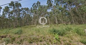 Terreno R�stico - Vilarinho das Cambas, Vila Nova de Famalic�o, Braga - Miniatura: 1/5