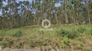 Terreno R�stico - Vilarinho das Cambas, Vila Nova de Famalic�o, Braga - Miniatura: 2/5