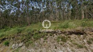 Terreno R�stico - Vilarinho das Cambas, Vila Nova de Famalic�o, Braga - Miniatura: 3/5