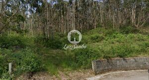 Terreno R�stico - Vilarinho das Cambas, Vila Nova de Famalic�o, Braga - Miniatura: 5/5