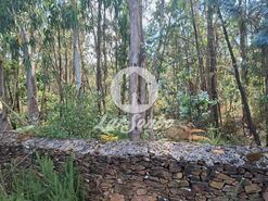 Terreno R�stico - Fradelos, Vila Nova de Famalic�o, Braga - Miniatura: 4/11