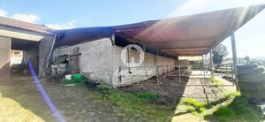 Moradia T4 - Fradelos, Vila Nova de Famalic�o, Braga - Miniatura: 16/23