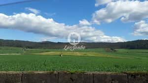 Moradia T4 - Fradelos, Vila Nova de Famalic�o, Braga - Miniatura: 23/23
