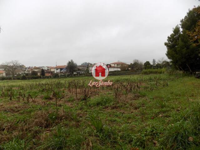 Quinta - Lousado, Vila Nova de Famalicão, Braga - Imagem grande