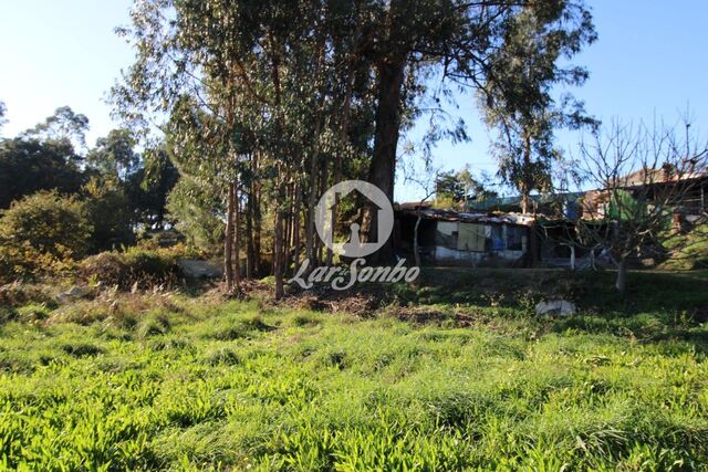 Terreno R�stico - Areias, Santo Tirso, Porto - Imagem grande