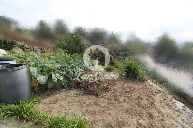 Terreno R�stico - Joane, Vila Nova de Famalic�o, Braga - Imagem grande