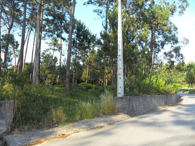 Terreno R�stico - Agu�adoura, P�voa de Varzim, Porto - Imagem grande