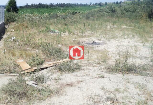 Terreno R�stico - Junqueira, Vila do Conde, Porto - Imagem grande