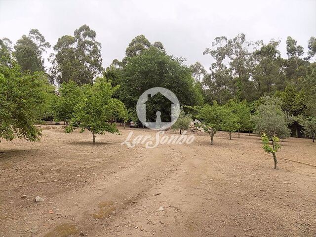 Terreno R�stico - Cruz, Vila Nova de Famalic�o, Braga - Imagem grande