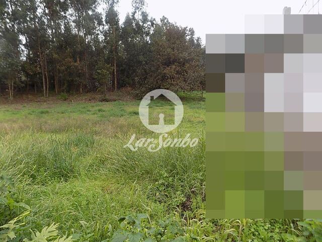 Terreno R�stico - Balazar, P�voa de Varzim, Porto - Imagem grande