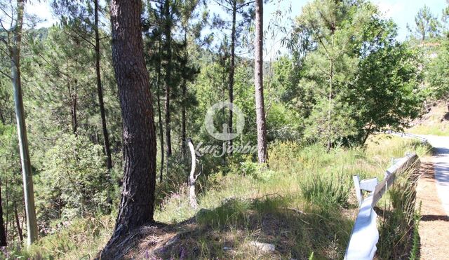 Terreno R�stico - Vilar da Veiga, Terras de Bouro, Braga - Imagem grande