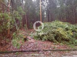 Terreno R�stico - Malta, Vila do Conde, Porto