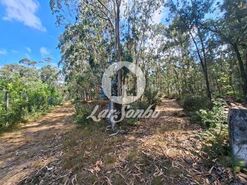 Terreno R�stico - Fradelos, Vila Nova de Famalic�o, Braga