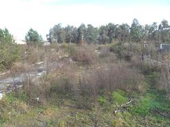 Terreno R�stico - Fradelos, Vila Nova de Famalic�o, Braga