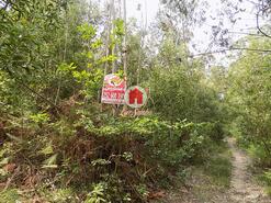 Terreno R�stico - Esmeriz, Vila Nova de Famalic�o, Braga