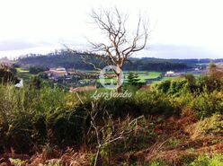 Terreno Rstico - Fornelo e Vairo, Vila do Conde, Porto - Miniatura: 4/4