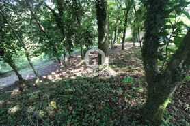 Quinta T3 - Aties, Vila Verde, Braga - Miniatura: 11/19