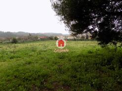 Quinta - Lousado, Vila Nova de Famalico, Braga - Miniatura: 2/16