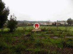 Quinta - Lousado, Vila Nova de Famalico, Braga - Miniatura: 4/16