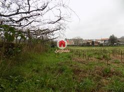 Quinta - Lousado, Vila Nova de Famalico, Braga - Miniatura: 15/16