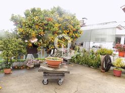 Moradia T3 - Bougado, Trofa, Porto - Miniatura: 1/18