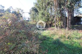 Terreno R�stico - Areias, Santo Tirso, Porto - Miniatura: 1/9