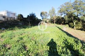 Terreno R�stico - Areias, Santo Tirso, Porto - Miniatura: 4/9