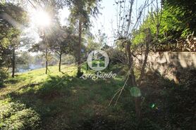 Terreno R�stico - Areias, Santo Tirso, Porto - Miniatura: 6/9