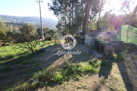 Terreno R�stico - Areias, Santo Tirso, Porto - Miniatura: 7/9