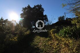 Terreno R�stico - Areias, Santo Tirso, Porto - Miniatura: 9/9