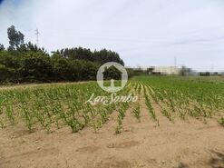 Terreno R�stico - P�voa de Varzim, P�voa de Varzim, Porto - Miniatura: 4/9
