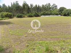 Terreno R�stico - P�voa de Varzim, P�voa de Varzim, Porto - Miniatura: 6/9