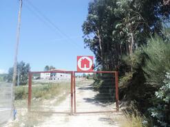Terreno R�stico - Junqueira, Vila do Conde, Porto - Miniatura: 2/4