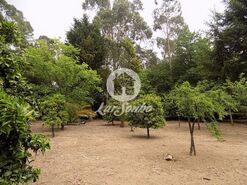Terreno R�stico - Cruz, Vila Nova de Famalic�o, Braga - Miniatura: 13/20