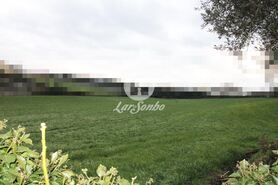 Terreno R�stico - Balazar, P�voa de Varzim, Porto - Miniatura: 3/4