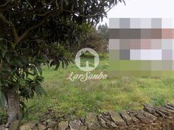 Terreno R�stico - Balazar, P�voa de Varzim, Porto - Miniatura: 2/2