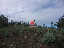 Terreno R�stico - Malta, Vila do Conde, Porto - Miniatura: 1/4