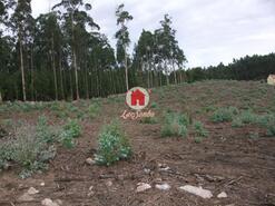 Terreno R�stico - Malta, Vila do Conde, Porto - Miniatura: 4/4