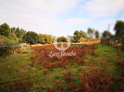 Quinta - Esmeriz, Vila Nova de Famalic�o, Braga - Miniatura: 3/14