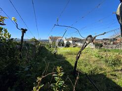 Terreno R�stico - Bagunte, Vila do Conde, Porto - Miniatura: 8/20