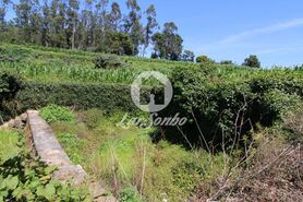 Terreno R�stico - Junqueira, Vila do Conde, Porto - Miniatura: 5/5