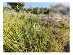 Terreno R�stico - Labruge, Vila do Conde, Porto - Miniatura: 11/13