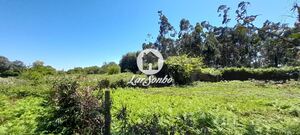 Terreno R�stico - P�voa de Varzim, P�voa de Varzim, Porto - Miniatura: 1/9