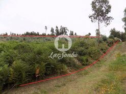 Terreno R�stico - Fradelos, Vila Nova de Famalic�o, Braga - Miniatura: 1/4
