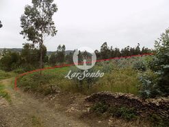 Terreno R�stico - Fradelos, Vila Nova de Famalic�o, Braga - Miniatura: 2/4