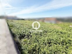 Terreno R�stico - Fornelo e Vair�o, Vila do Conde, Porto - Miniatura: 4/11