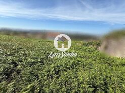 Terreno R�stico - Fornelo e Vair�o, Vila do Conde, Porto - Miniatura: 6/11
