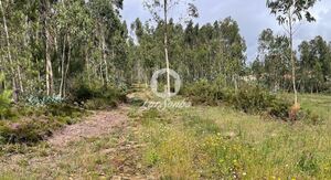 Terreno R�stico - Balazar, P�voa de Varzim, Porto - Miniatura: 4/5